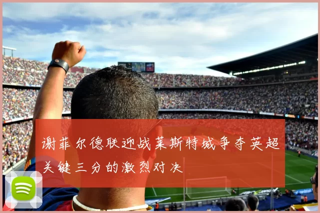 谢菲尔德联迎战莱斯特城争夺英超关键三分的激烈对决