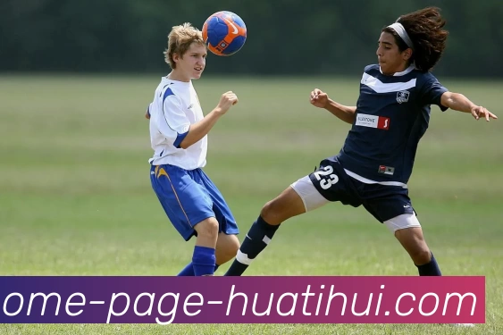 华体会APP 封面图